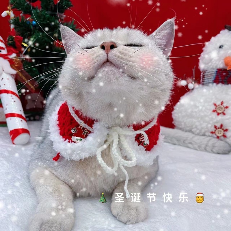 d67dc32bed4fde6a37aa7f73d72485