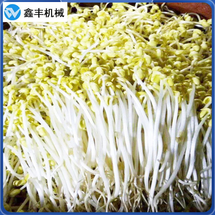 A鑫丰豆芽机 (1).jpg