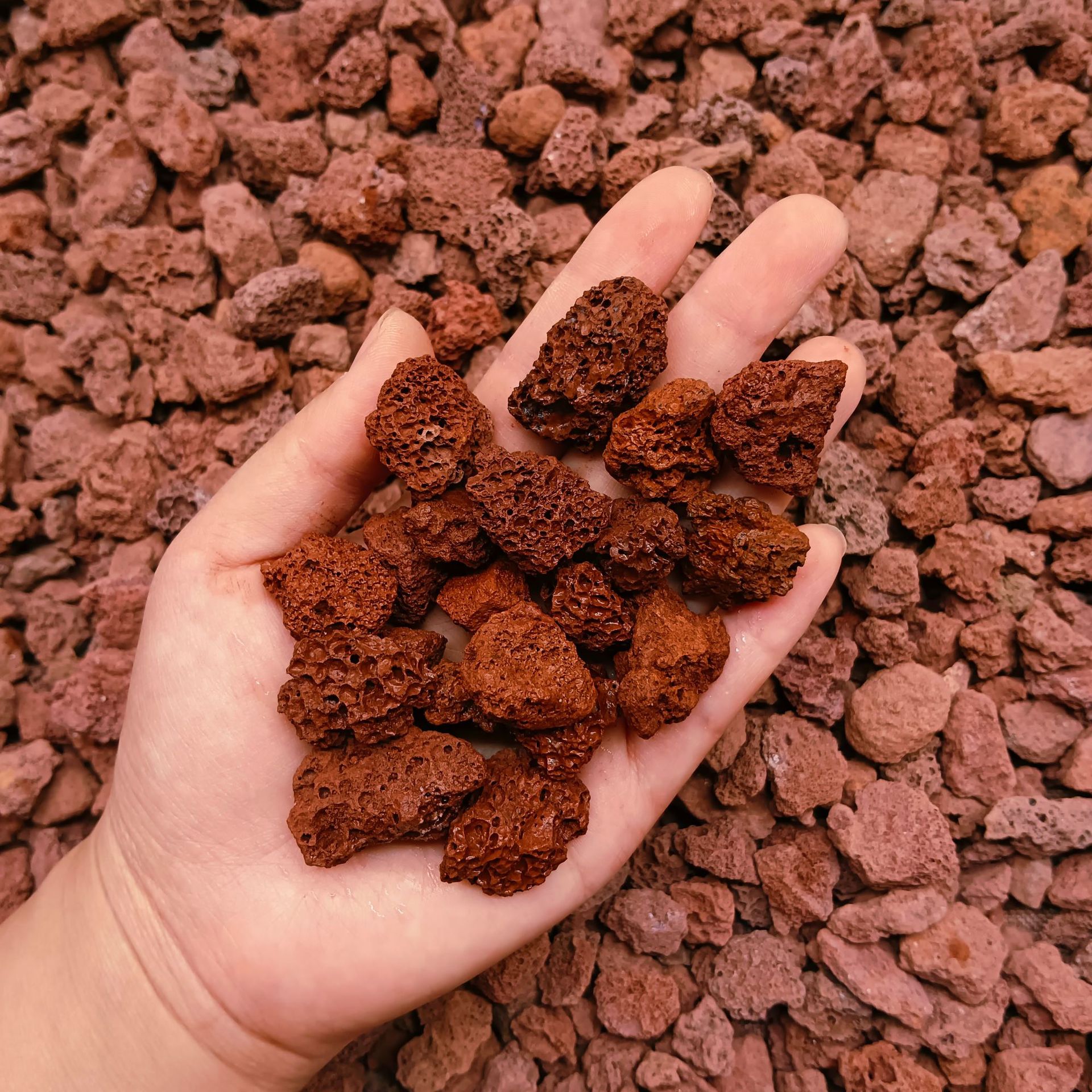 微信图片_20250218084201