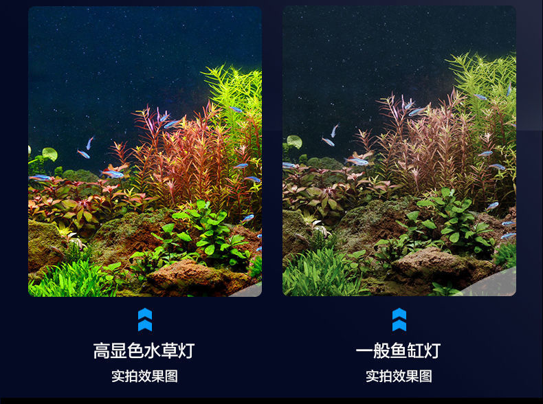 028acc29-900d-40c5-9877-121ea835f6de.jpe