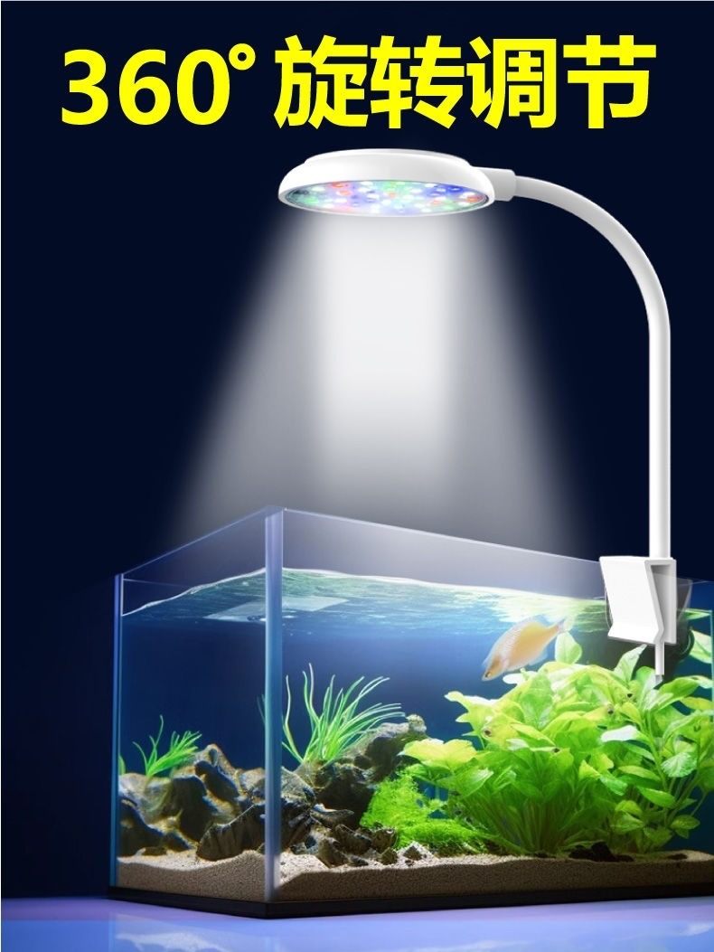 9fe92767-521d-472f-a777-0cd3e72f5862.jpe