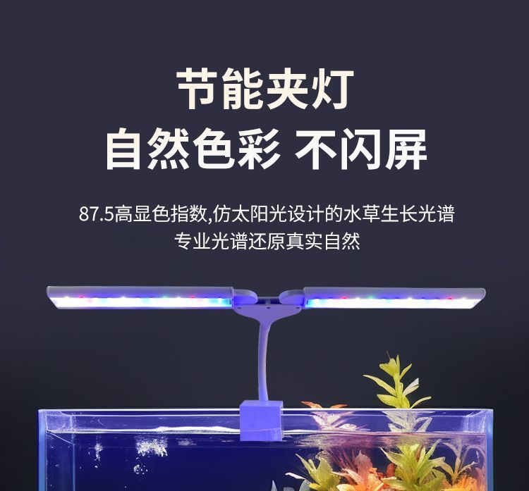 7544c0df-e1eb-49f3-a6a9-efdc822f06b9.jpe