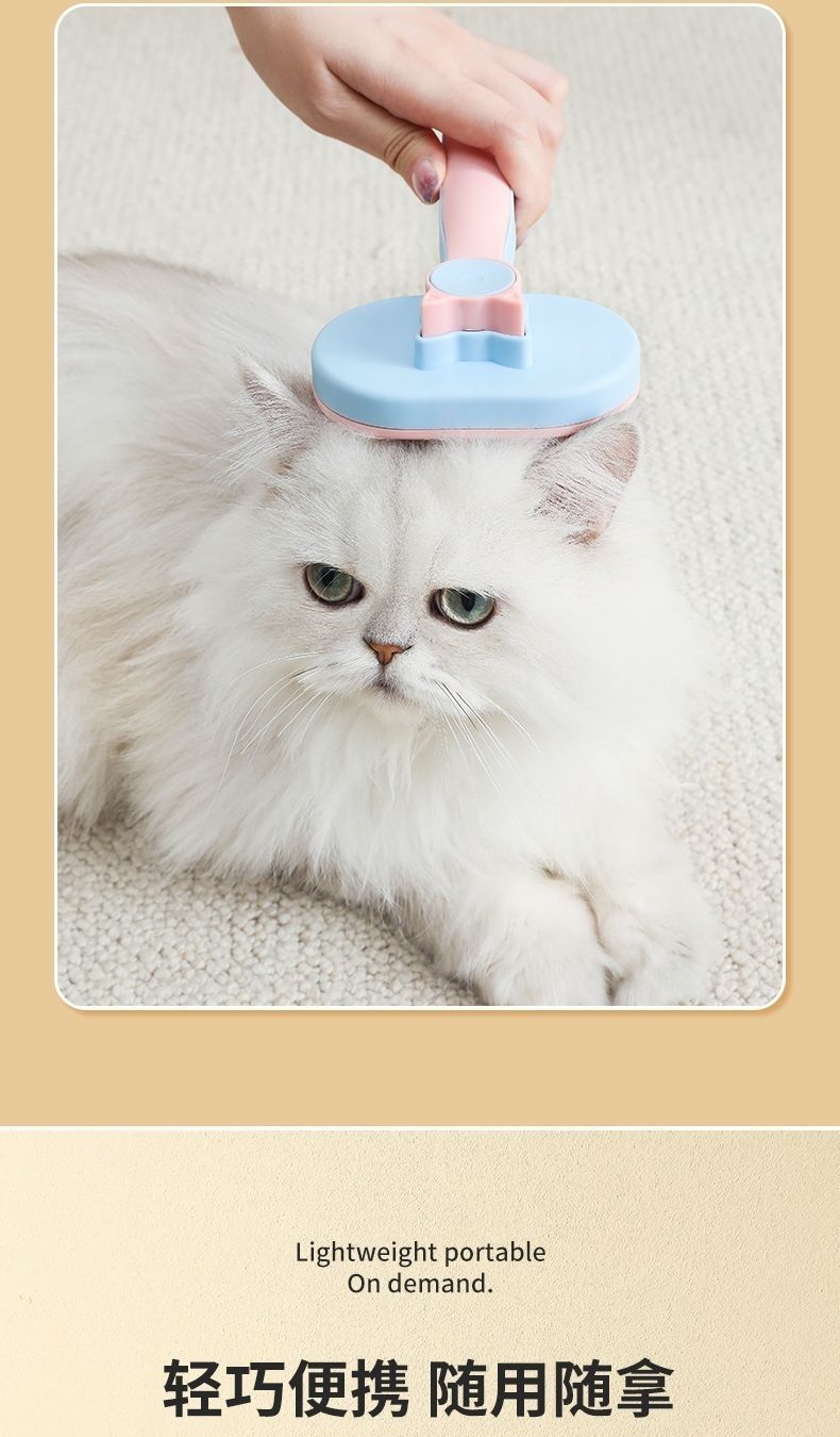 bfe05e3f-913a-4e64-b748-98a2db69c7f1.jpe