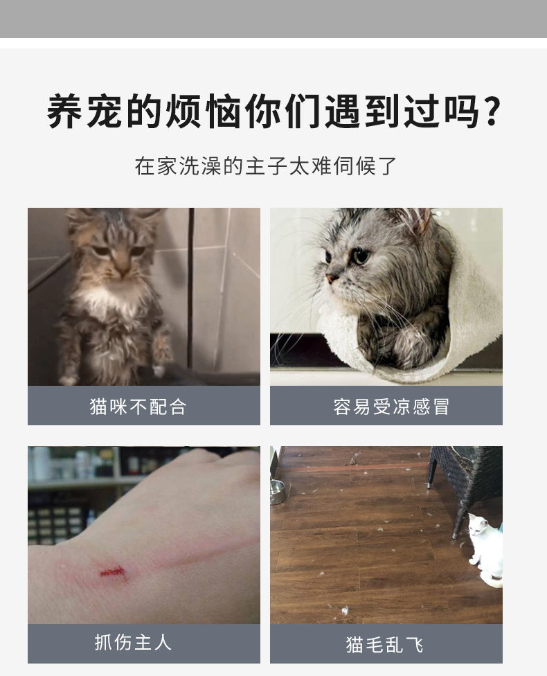 6cf5eb17-aabc-475e-bf6d-2d6a4c3a887e.jpe