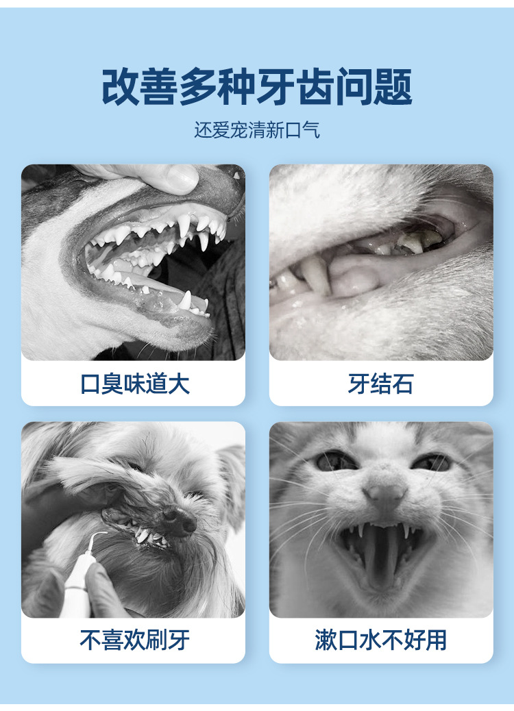 详情_08.jpg