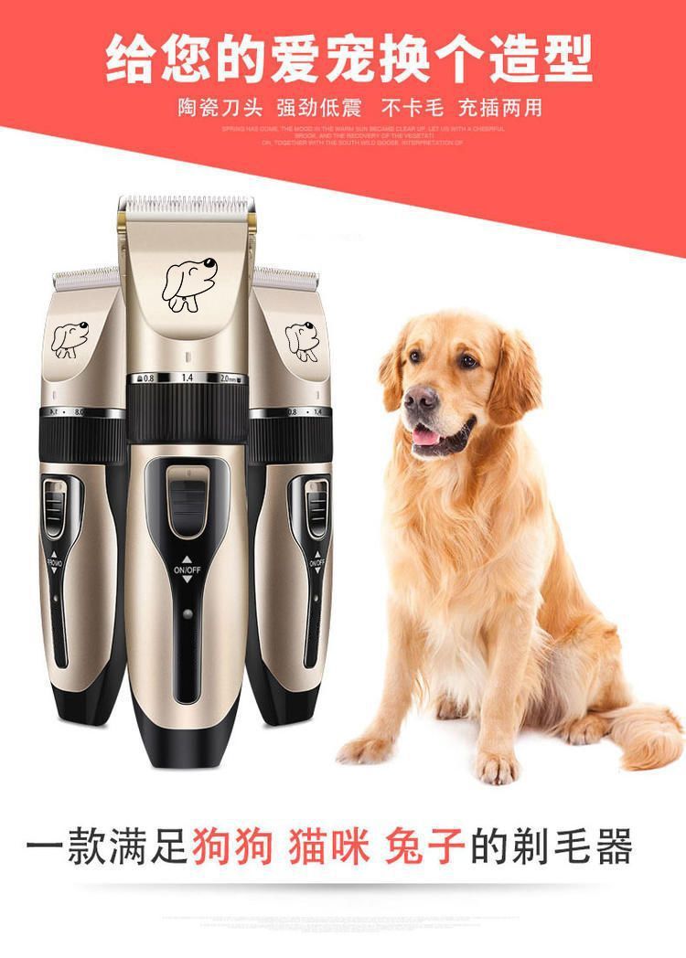 c801765c-61bb-4a48-8091-d4b2b1d404f3.jpe