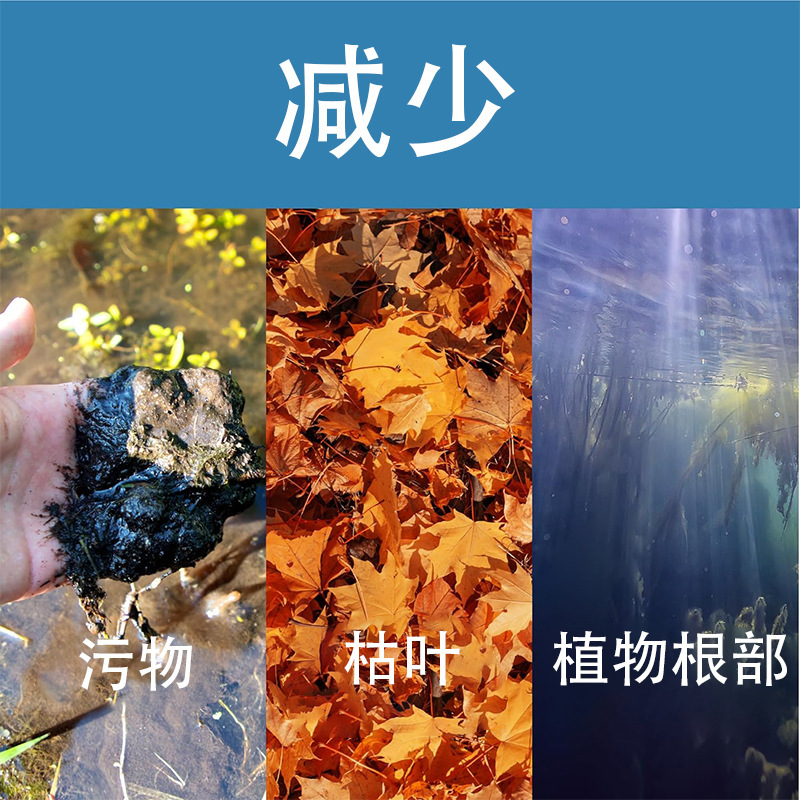 O1CN0195woPu1kAXtYc5I5Q_!!9836