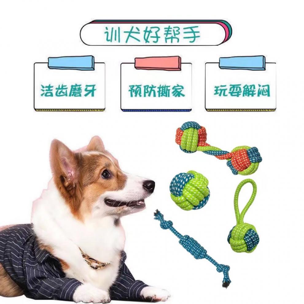 8a73f17a-86f2-4a9c-a7e5-c483069e91fc.jpe