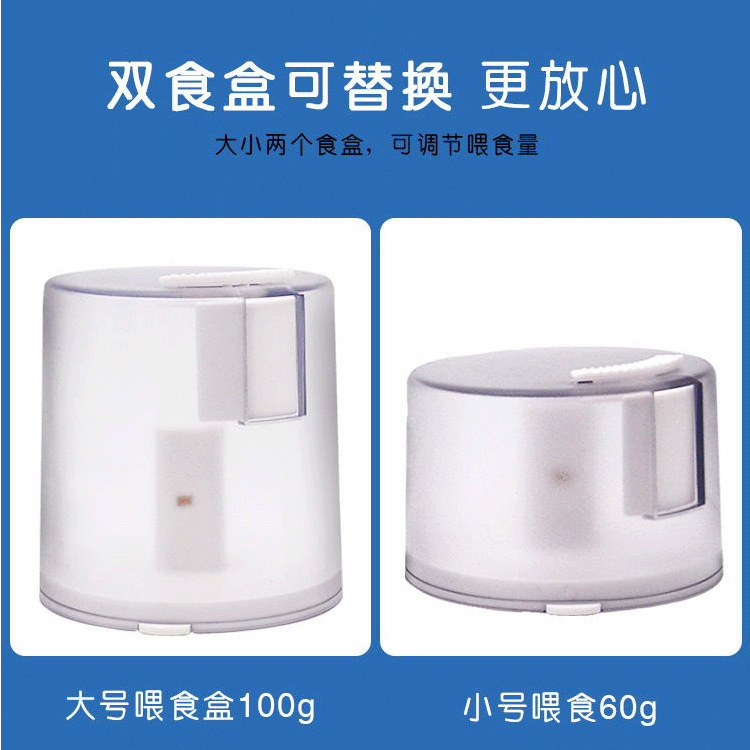 12312402052_1607653813