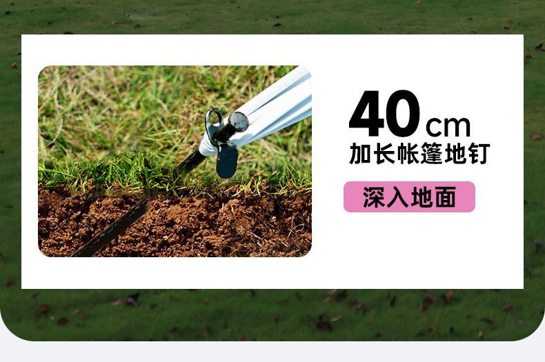 3e176341-7e3a-44e1-b37f-da58821a8a2c.jpe