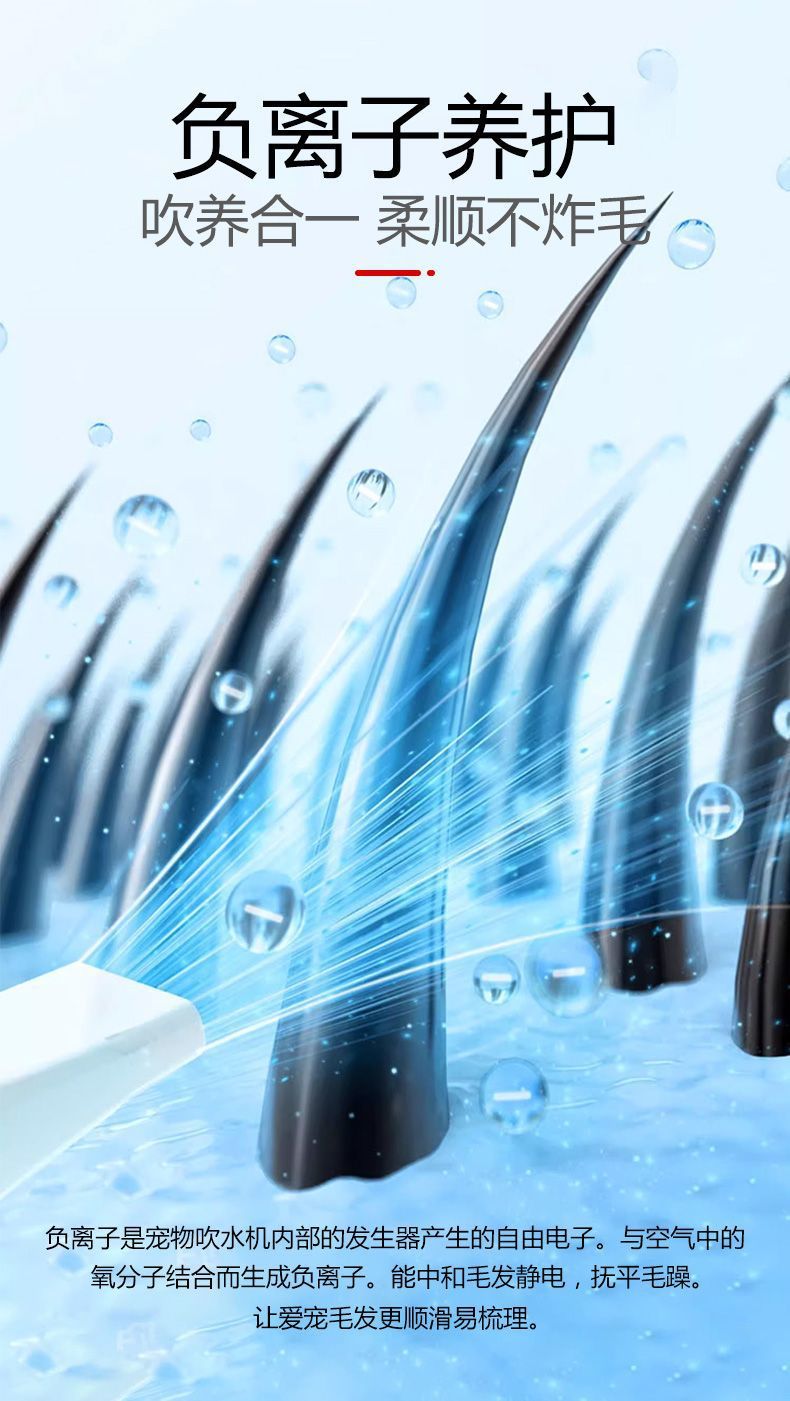 cd5f8e53-f0ea-4f39-8042-ac194fbe23b4.jpe