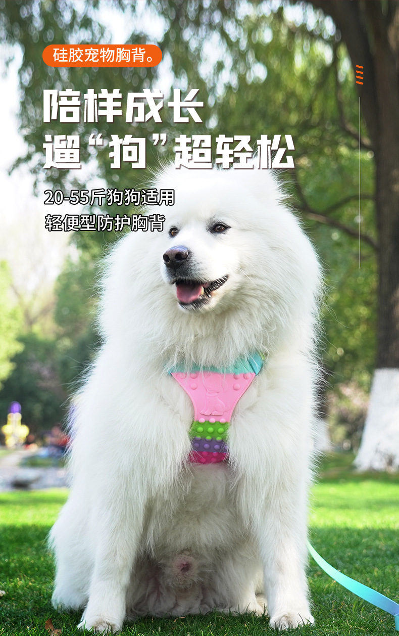 gWmWivOiz9St5Ja1ZAY2YJXFSwBfwW/Dor6L