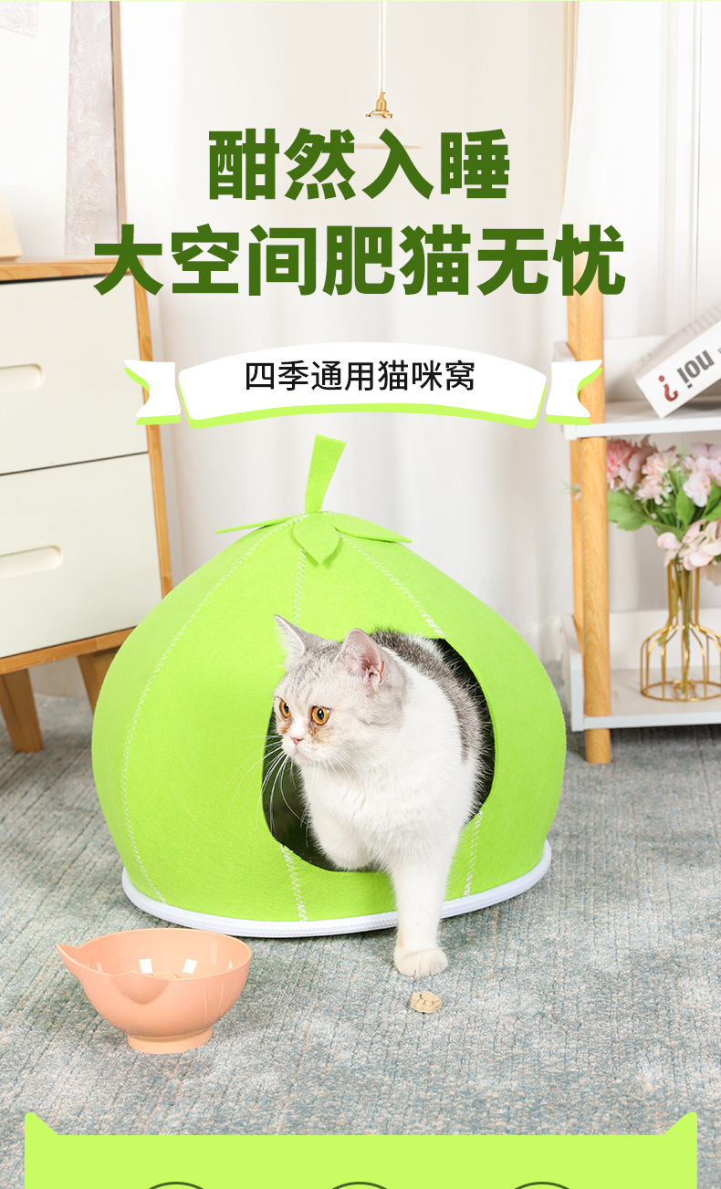 橘子宠物窝_01.jpg