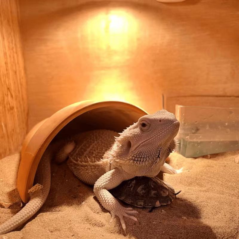 75ace613-ea03-4a36-8e3d-cfaafcc22180.jpe