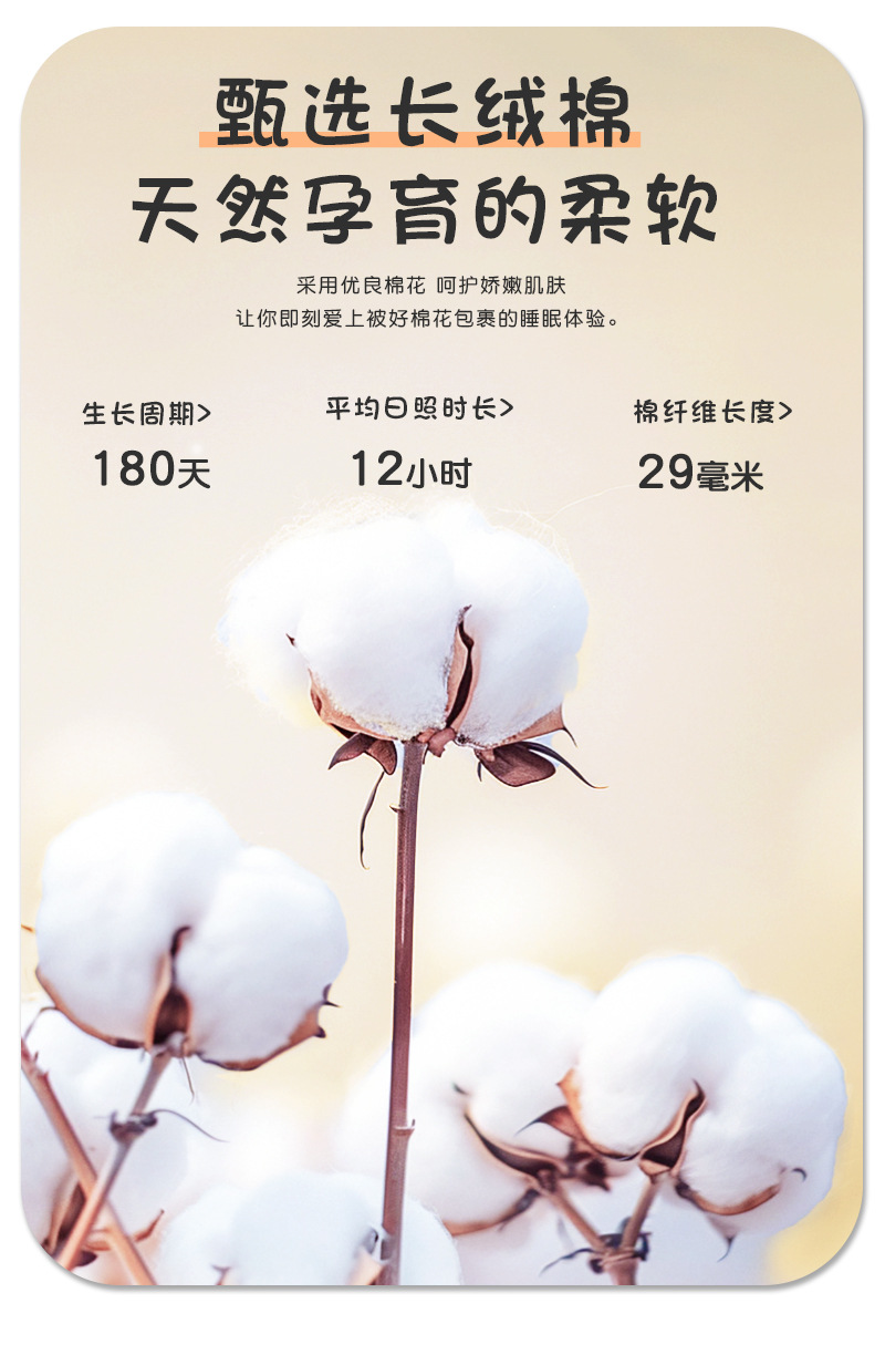 绉布详情