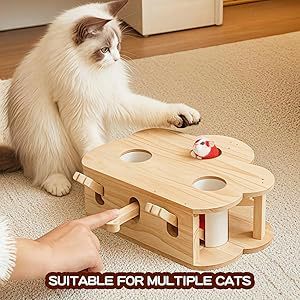 Whack-a-mole Interactive Cat Toy