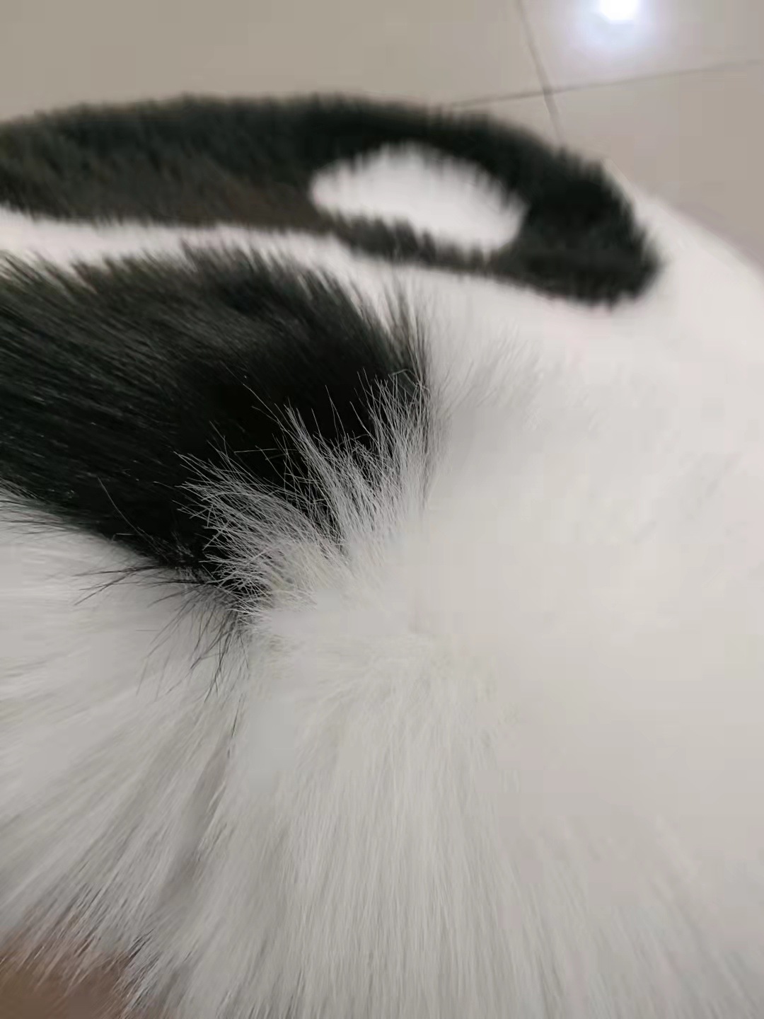 微信图片_20211012081829