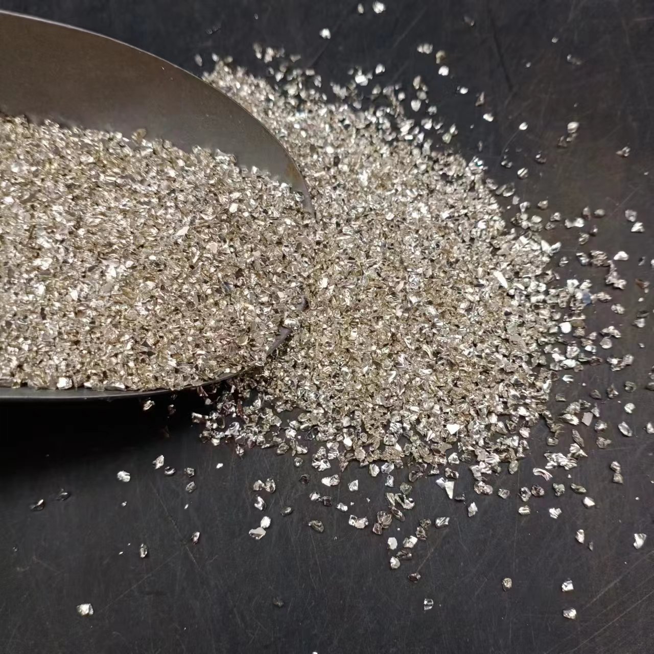 微信图片_202311011029261