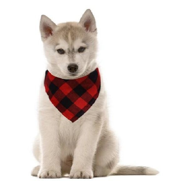 微信图片_20210618130810