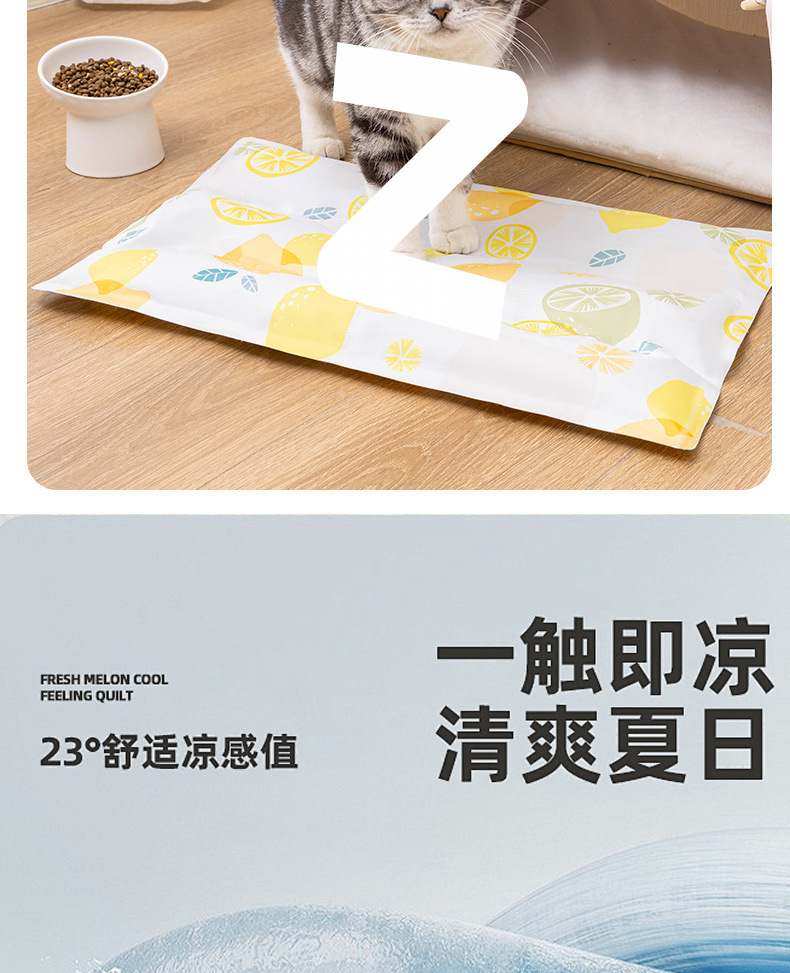 85f890d4-65e1-4164-b290-2f0f6af398ef.jpe