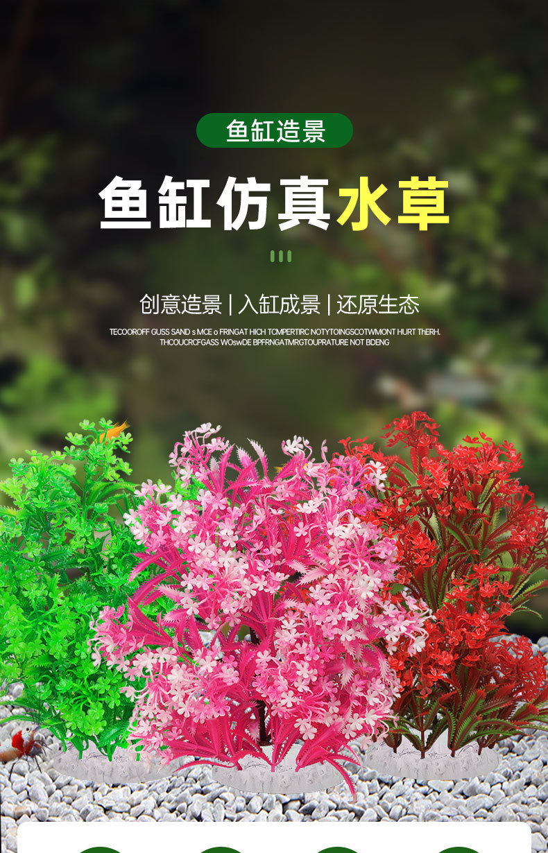 草详情_01.jpg