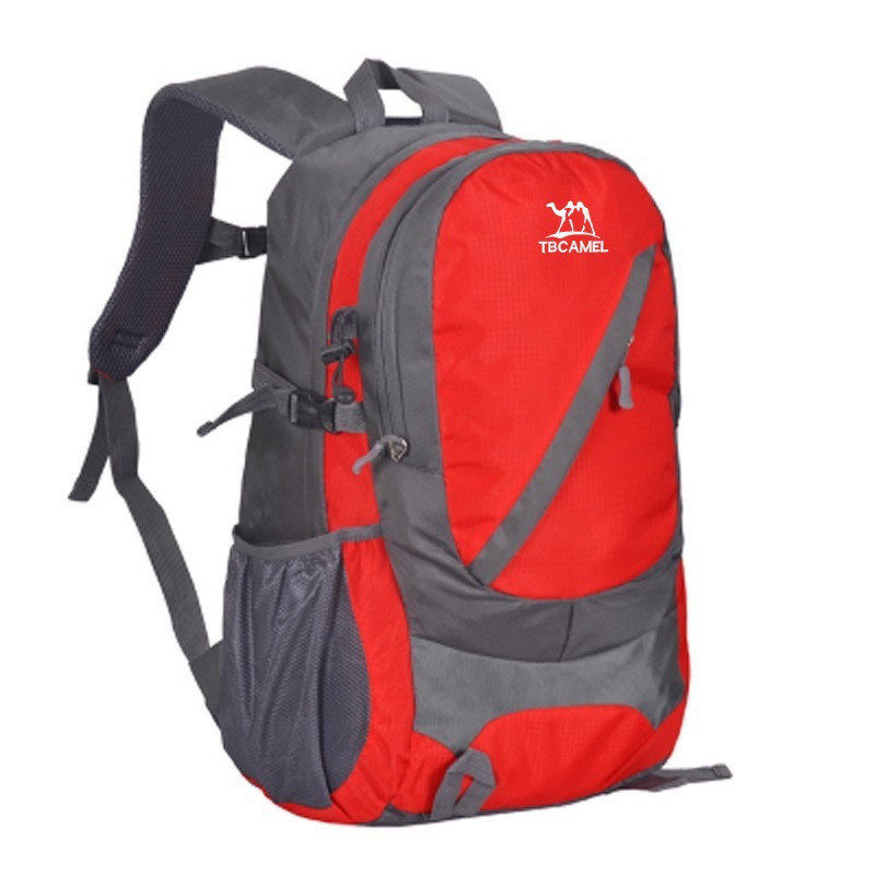 4326362071_1857309779