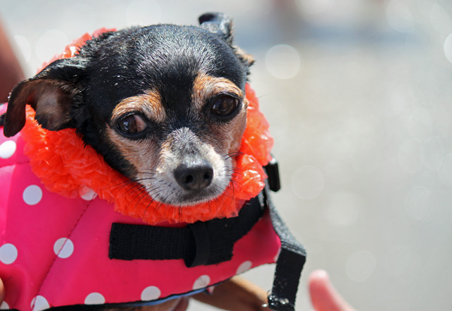 O1CN01CL8g2h2DnaIAFcojn_!!2213