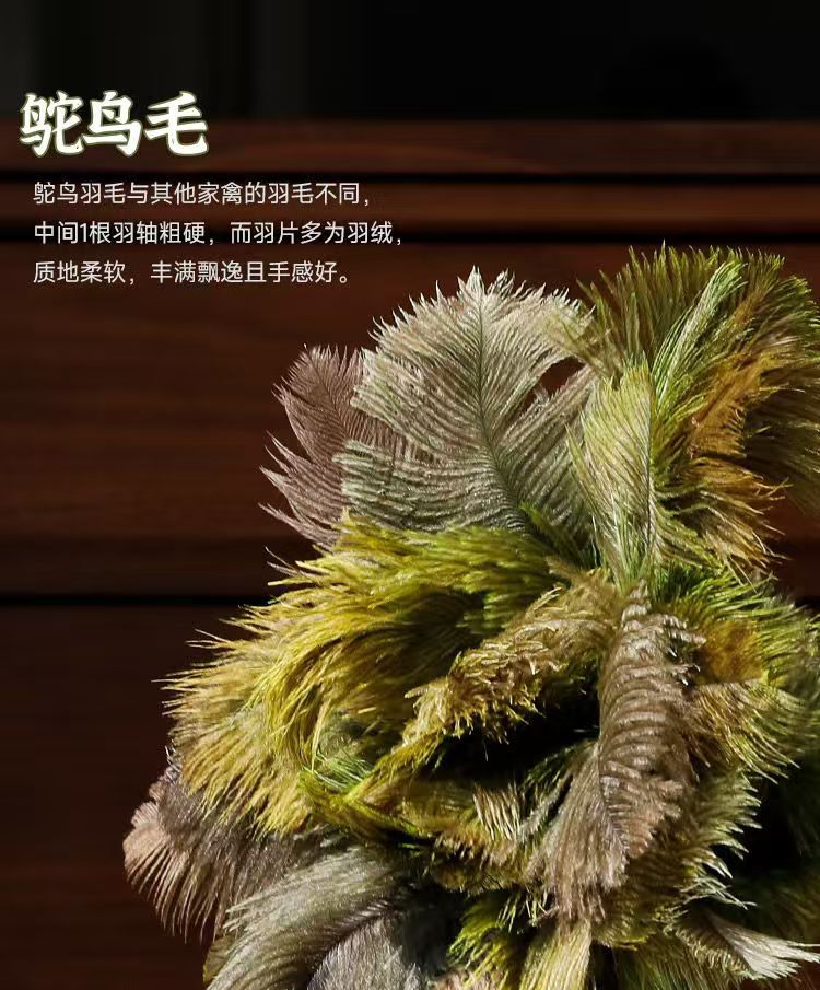 微信图片_20241121222930