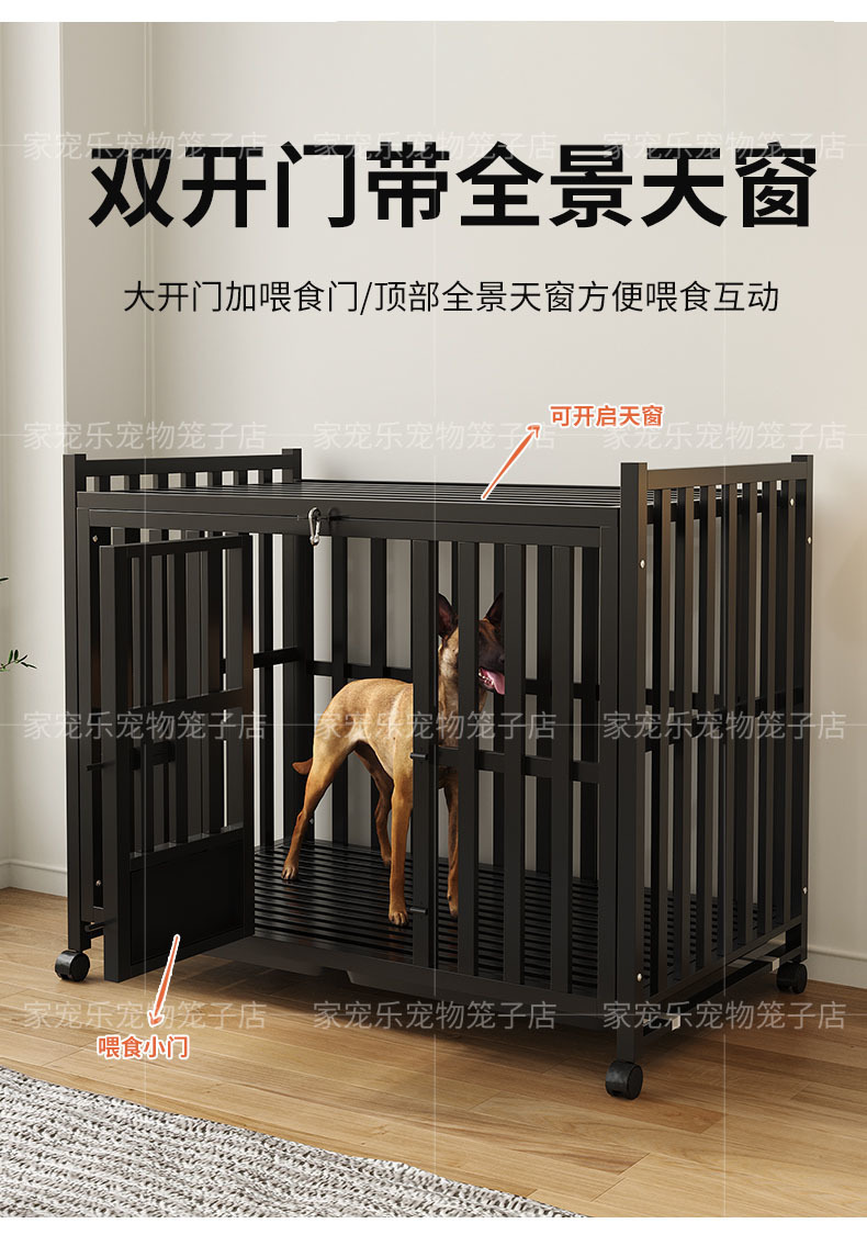 c300c1e4-32d5-4fef-a4bd-e470dcd6520f.jpe