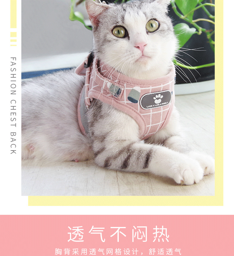 4f1aed78-ccf1-49f7-aaa2-95588ef2f277.png