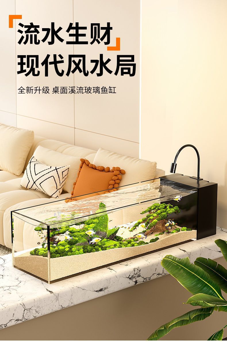 10b0fd26-9a75-4869-afc3-b4c3a95ff210.jpe