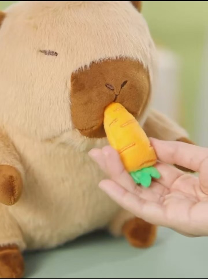 微信图片_20241114160949