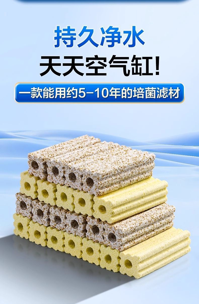 21c235b9-4f15-40f5-bf57-c489478f7d6b.jpe