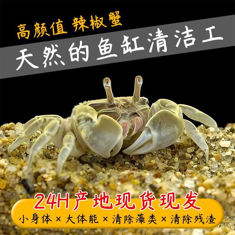 9f7d23f5-8b70-400d-b247-0c8f95647f5f.jpe