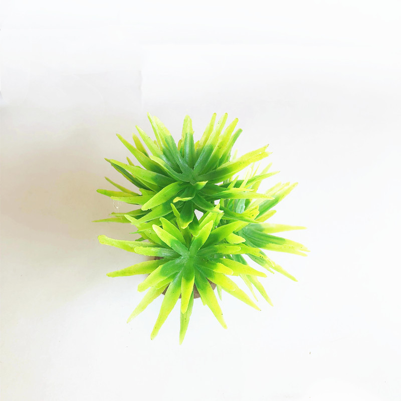 IMG_7475_副本 - 副本