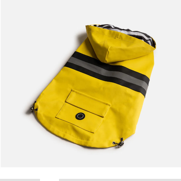 微信图片_20241005224431