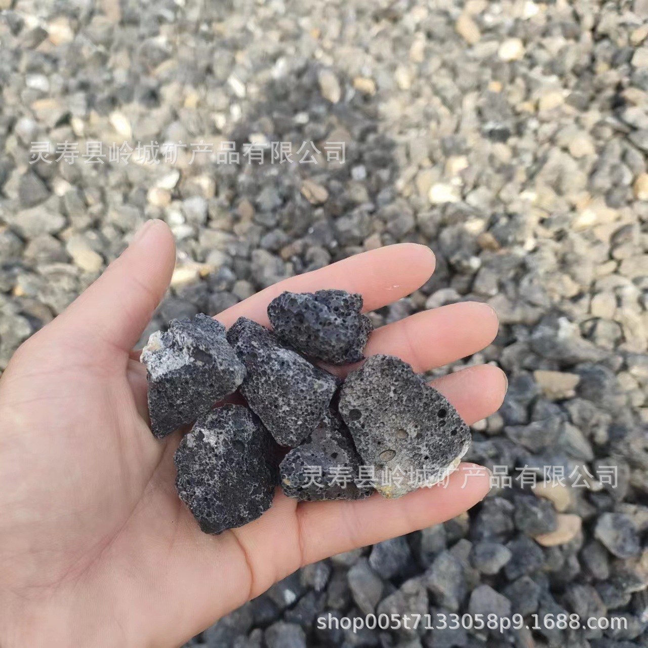 303f52f84a6aa0e088025082de0612