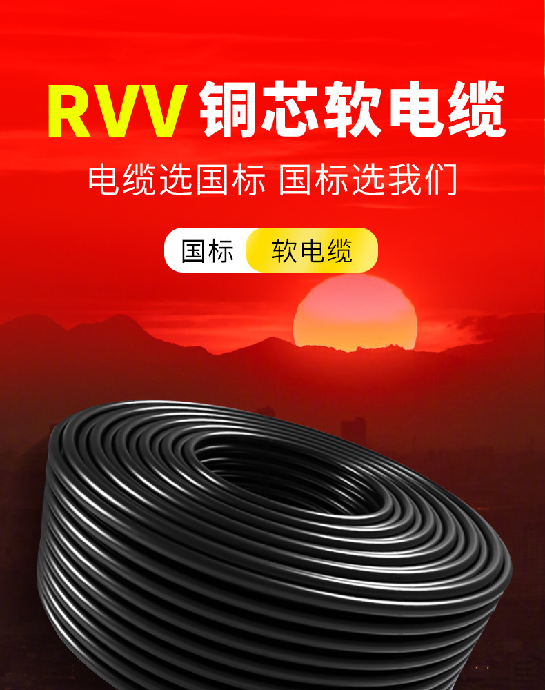 rvv_01