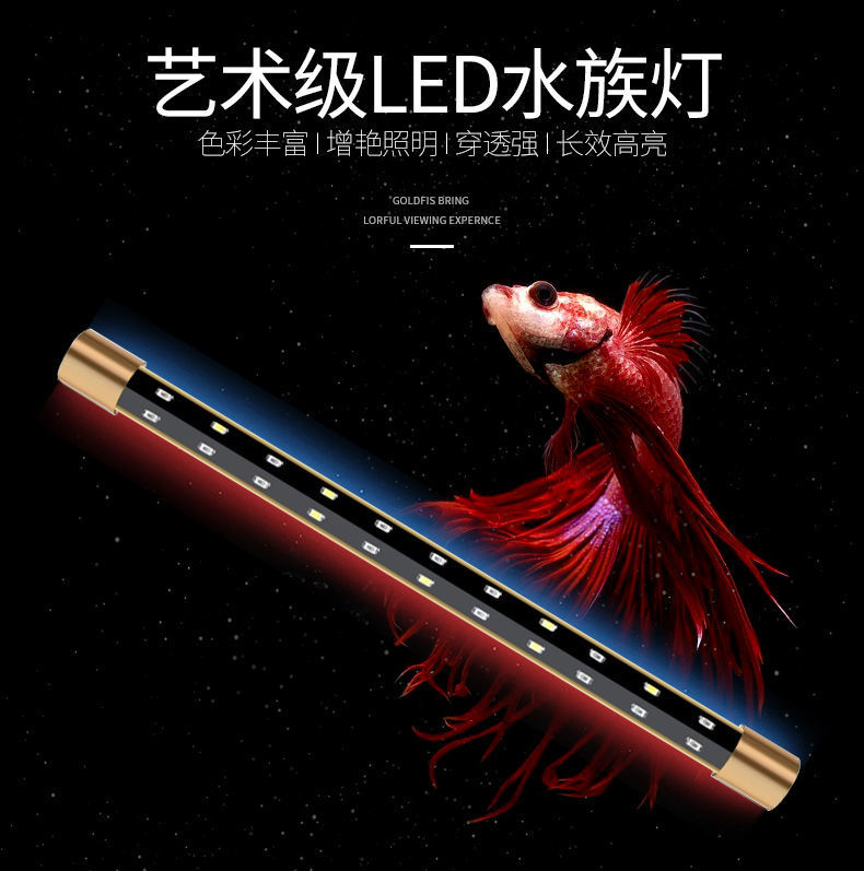 8ce0bdce-e733-4205-8c22-dcf036932d49.jpe