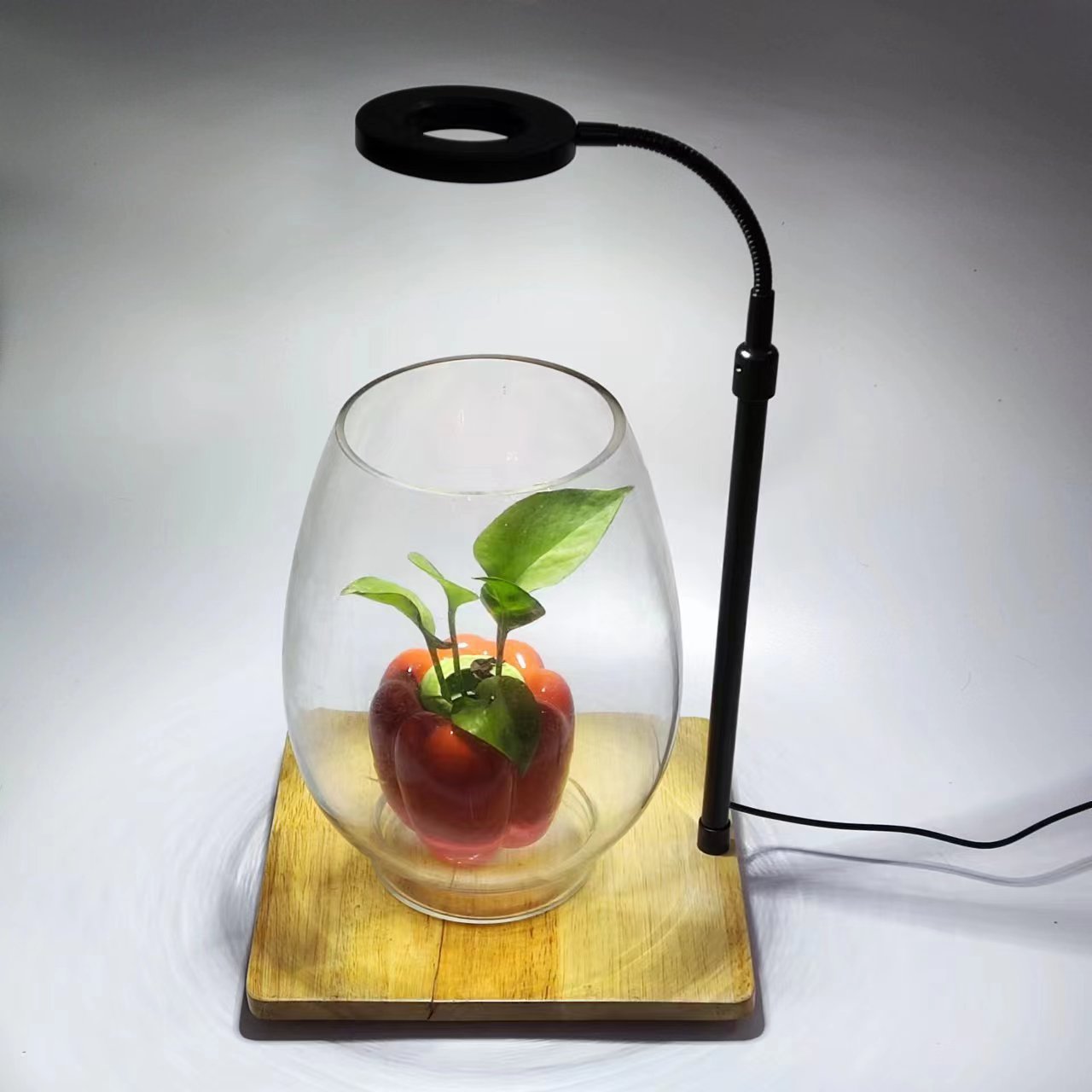 微信图片_20230919223213