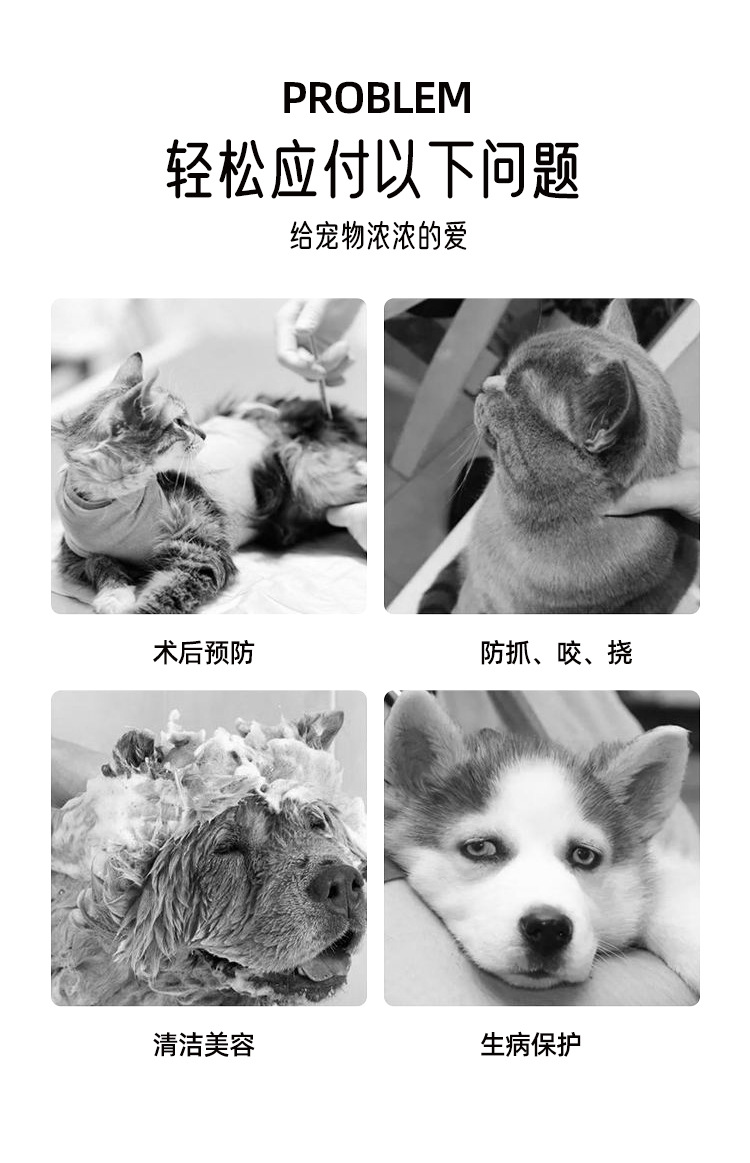 详情_05.jpg