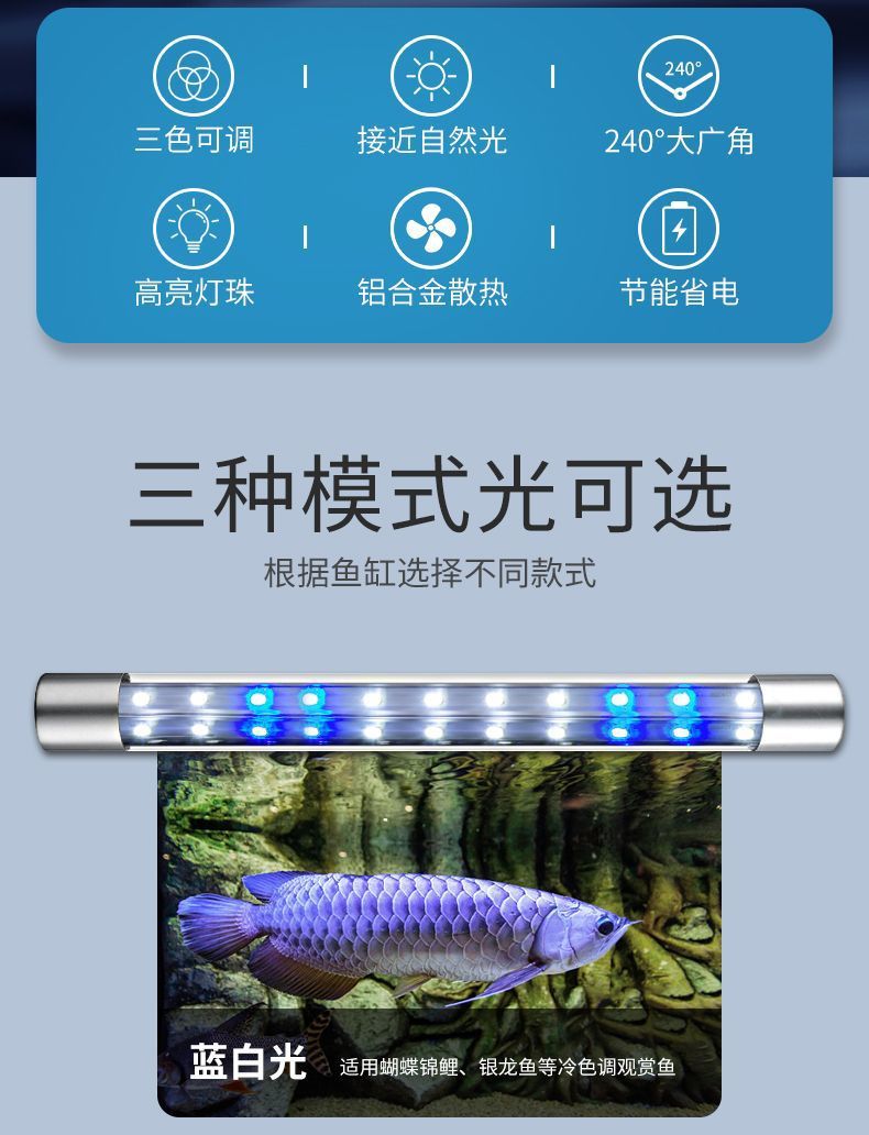 3f740334-9484-4094-a345-35fe544e2025.jpe