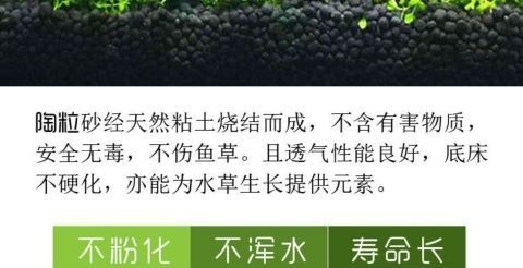 4d696357-0240-498f-8187-b2f9f1b172b0.jpe