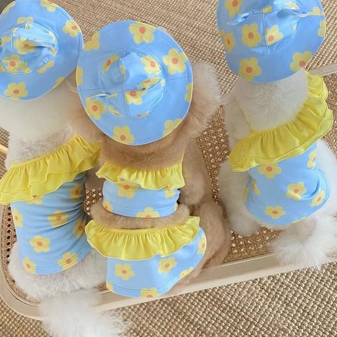 微信图片_20220512103223