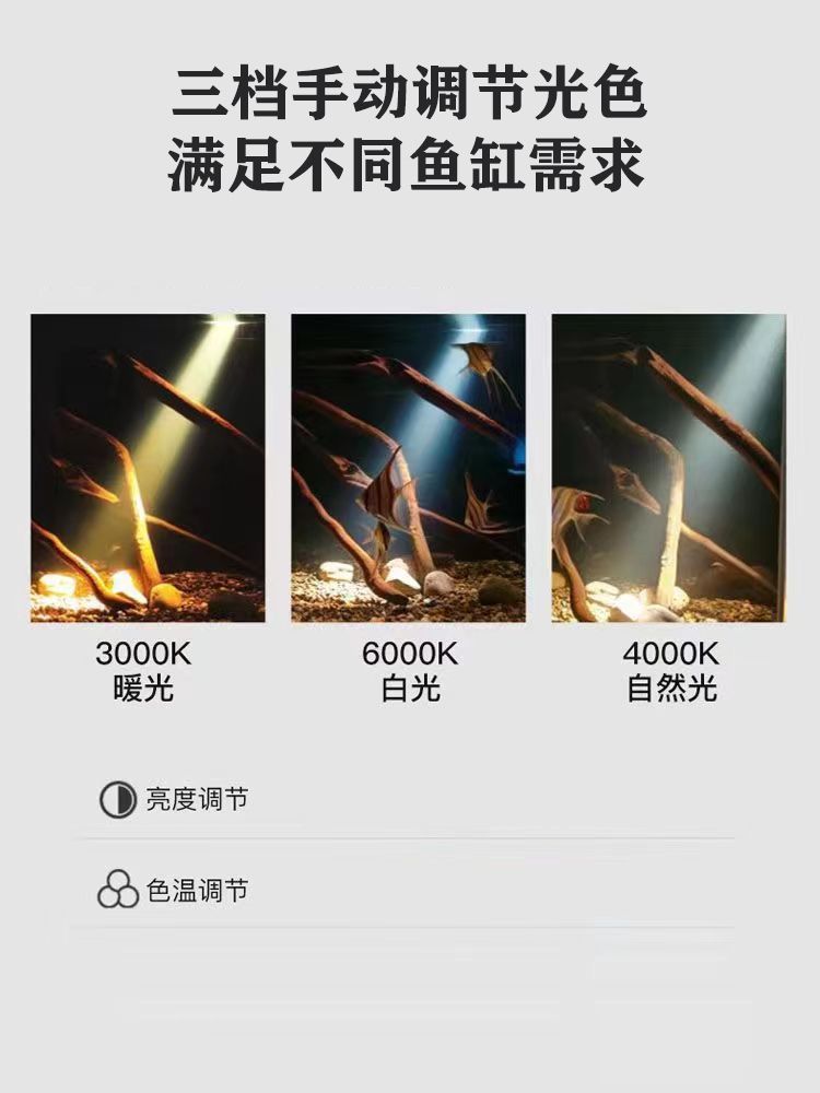 1818a97b-c839-4d4d-8bf8-433866b2507c.jpe