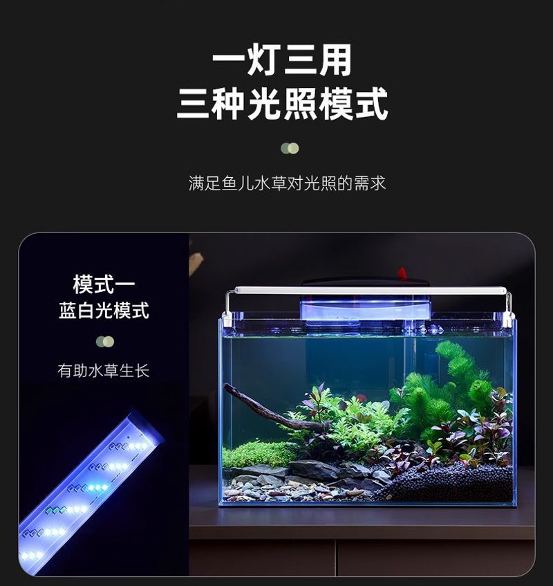 e1df03a0-8d62-4c49-a39a-9a5a00e5b09a.jpe