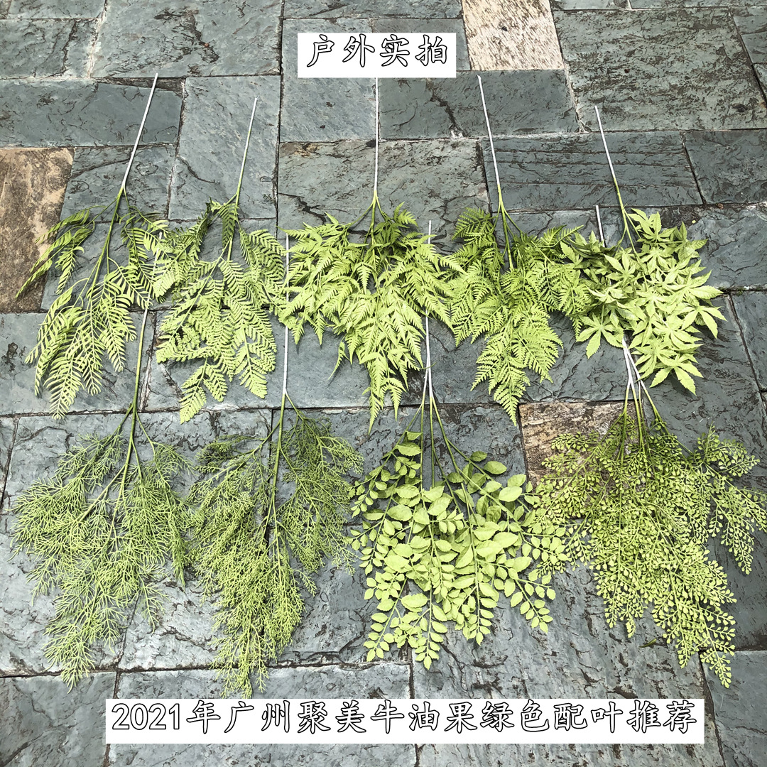 微信图片_20210629132455_副本