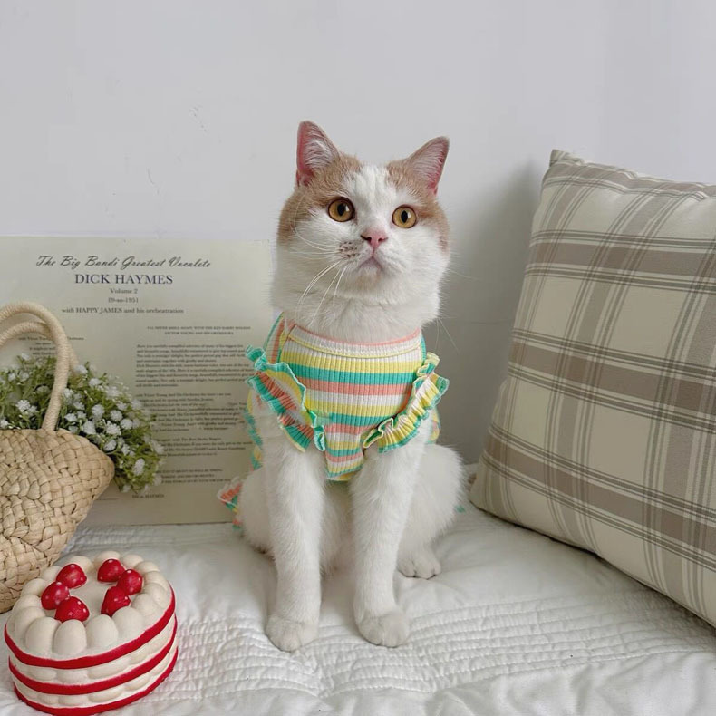 7ffa8de1-1aae-4a47-acd8-9b7f26f00673.jpe