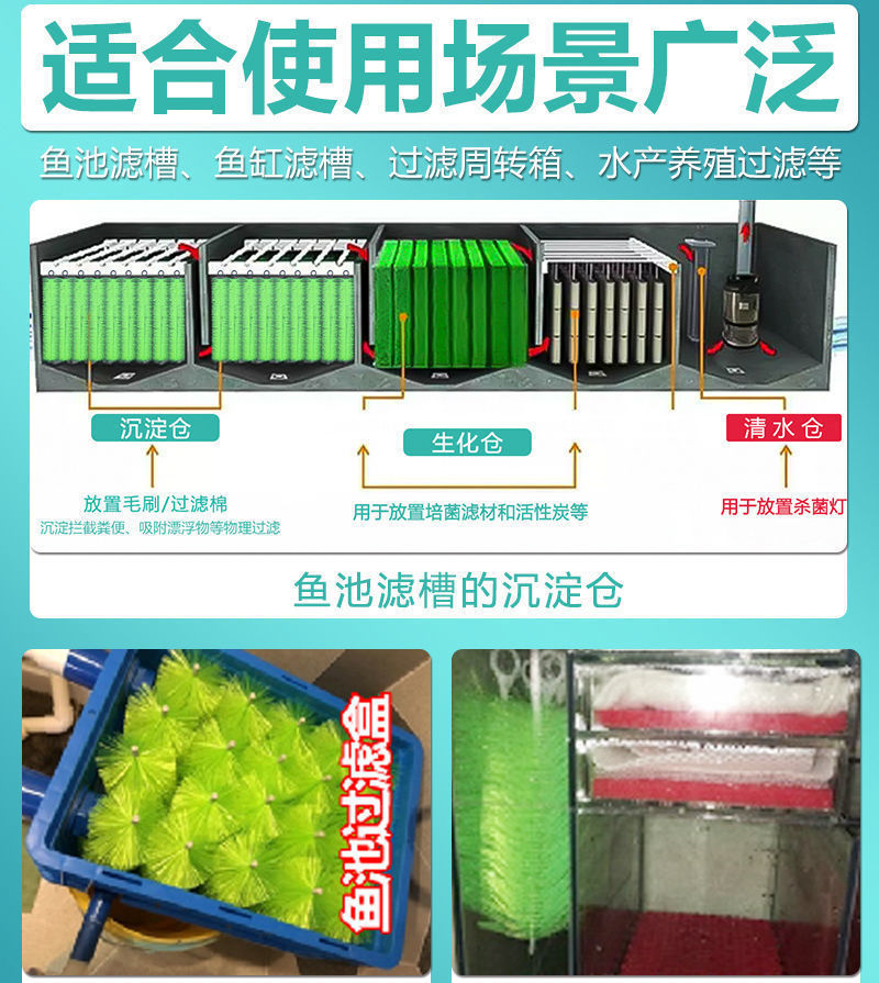 342f3d0b-ef6f-412f-9514-2713d8944921.jpe