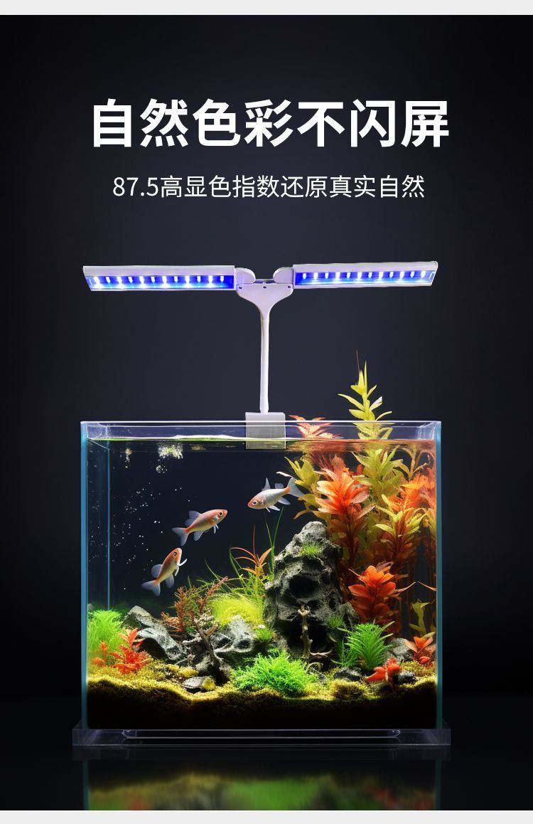 ef756e97-4c38-4d7c-a98c-0a0fa9711dd4.jpe